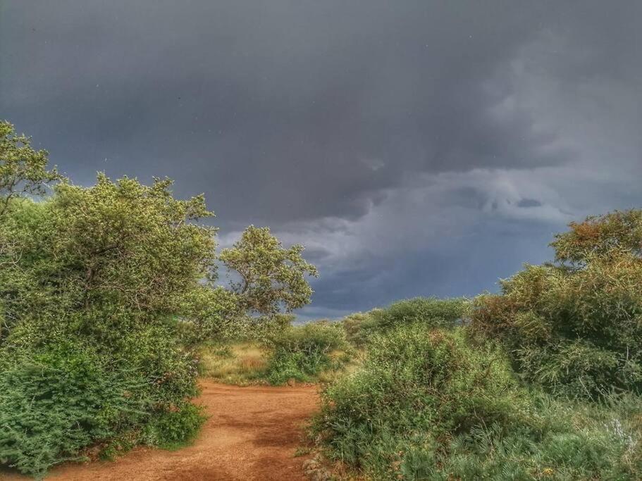 Hackberry House Black Thorn Cottage, Off Grid Khemsbok Dış mekan fotoğraf